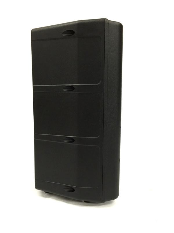 Cedarslink LK-P10 10" 2 Way Passive Loudspeaker